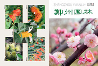 2014年02期                         郑州市风景园林协会