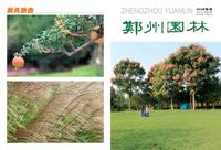 2014年05期                         郑州市风景园林协会